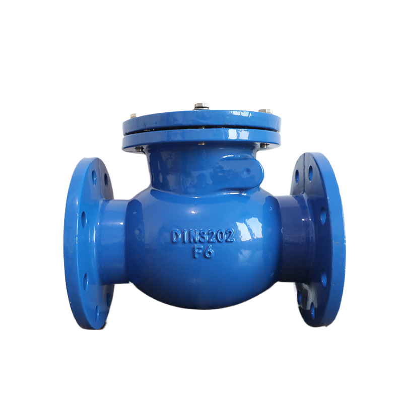 Swing check valve