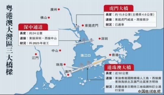 2025年正版蛇蛋图