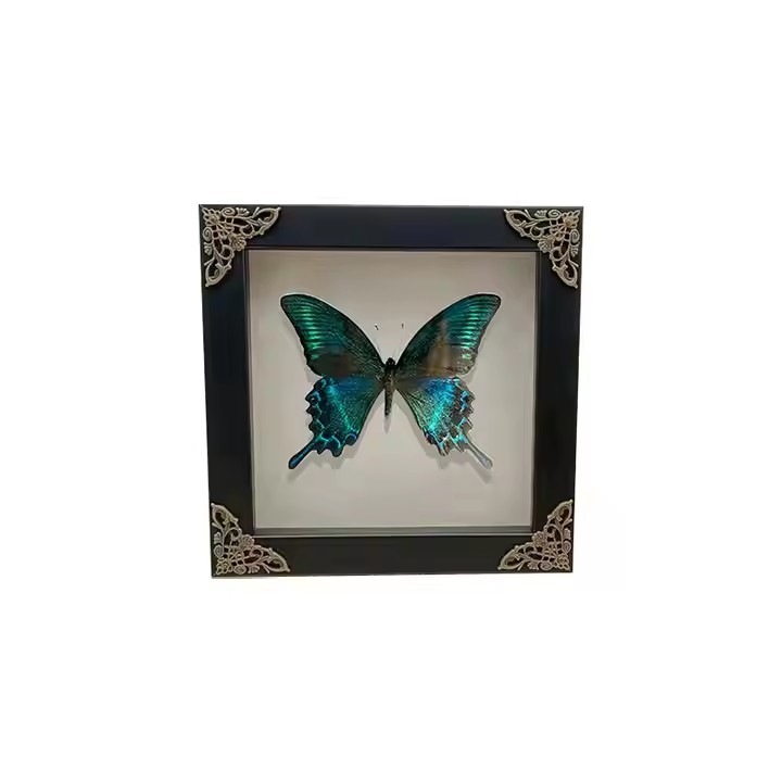 Black shadow box dried flower butterfly specimen frame, DIY handmade photo frame, decorative mounting frame, and display table