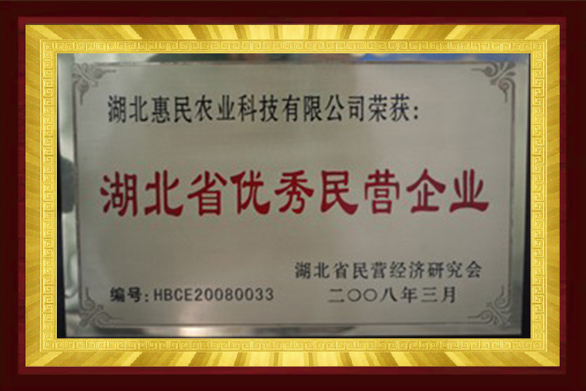 中國(guó)優(yōu)秀民營(yíng)企業(yè)（2011年認(rèn)定）