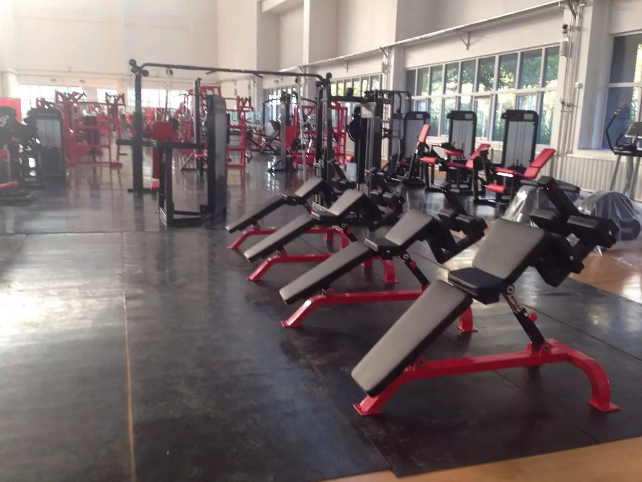 Gyms that have worked overseas