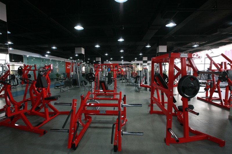 Gyms that have worked overseas