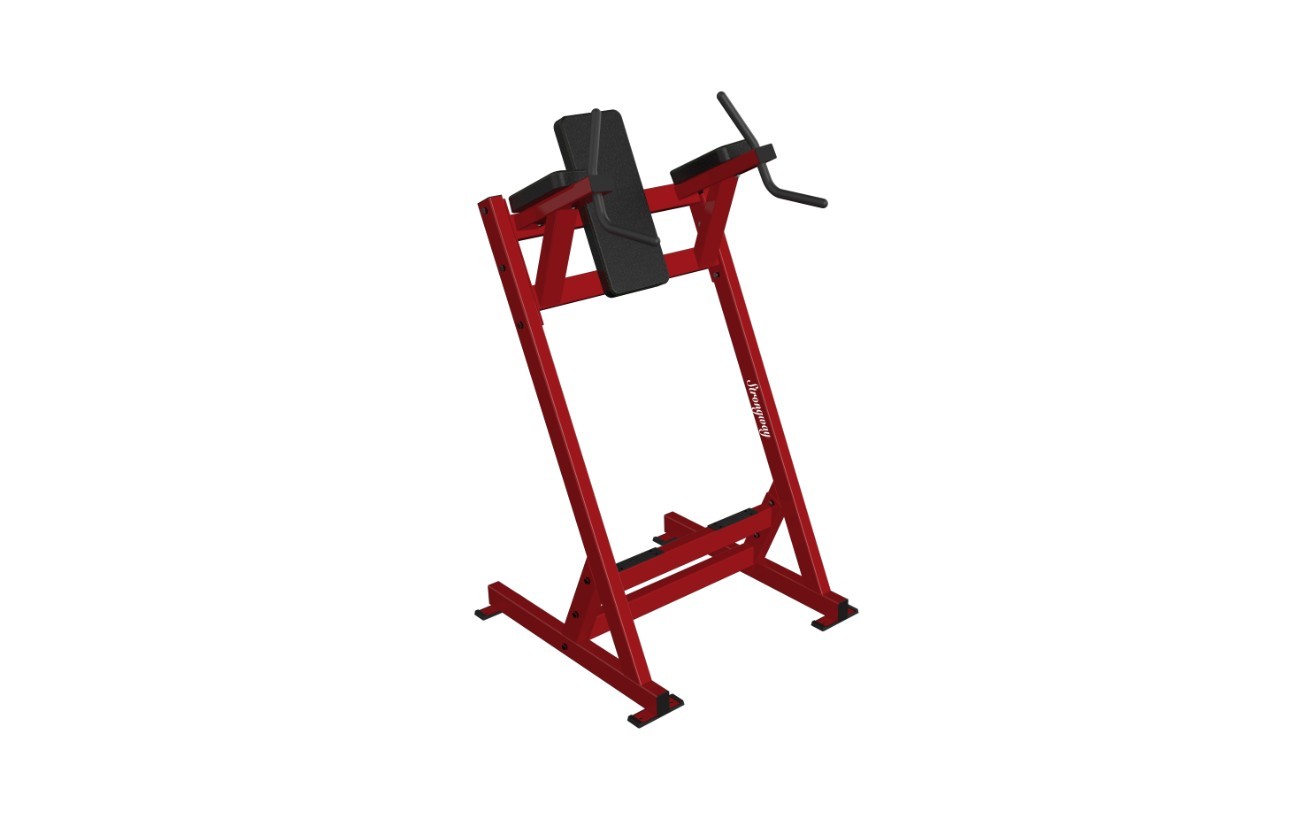 DF54 Leg Raise