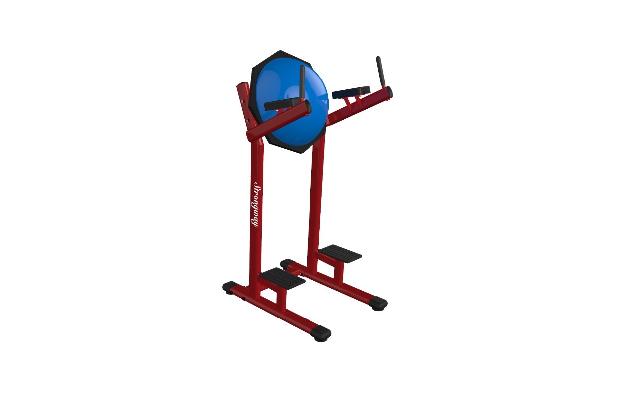 SA18 Chin/Dip/Leg Raise