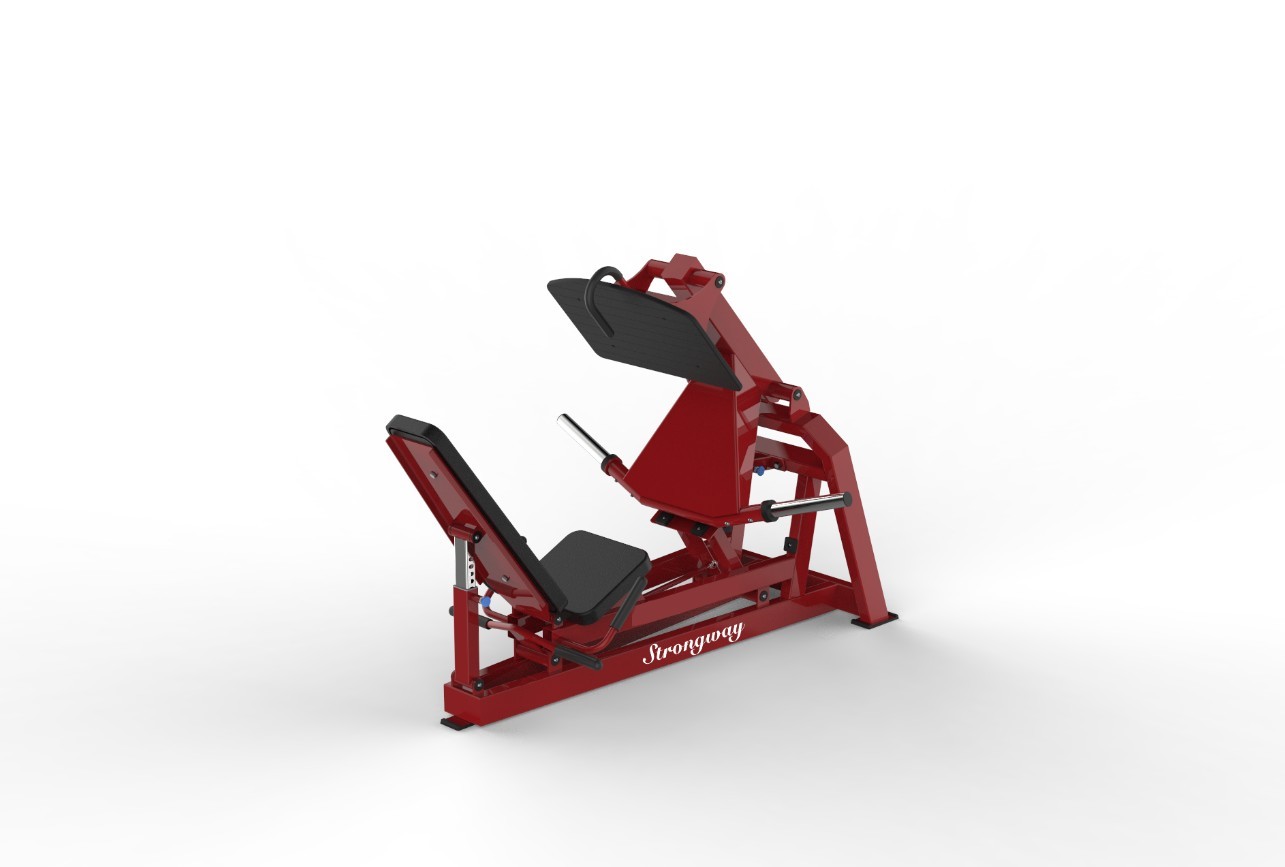 DH67 leg press  