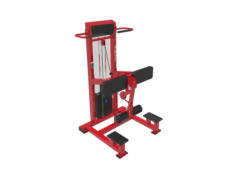 站式后擺腿訓練器（80kg）