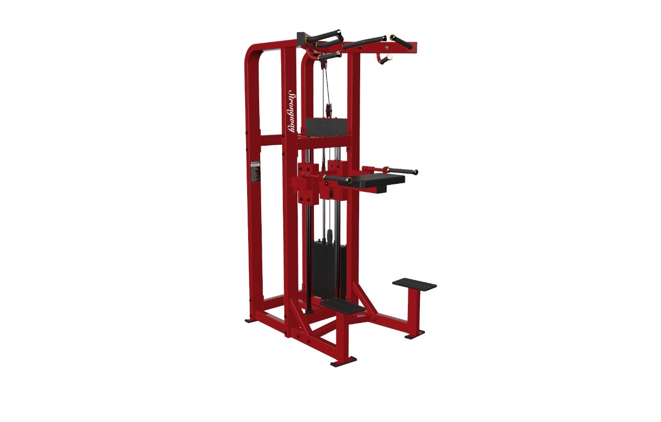 DS09 引体上升训练器 （90kg）
