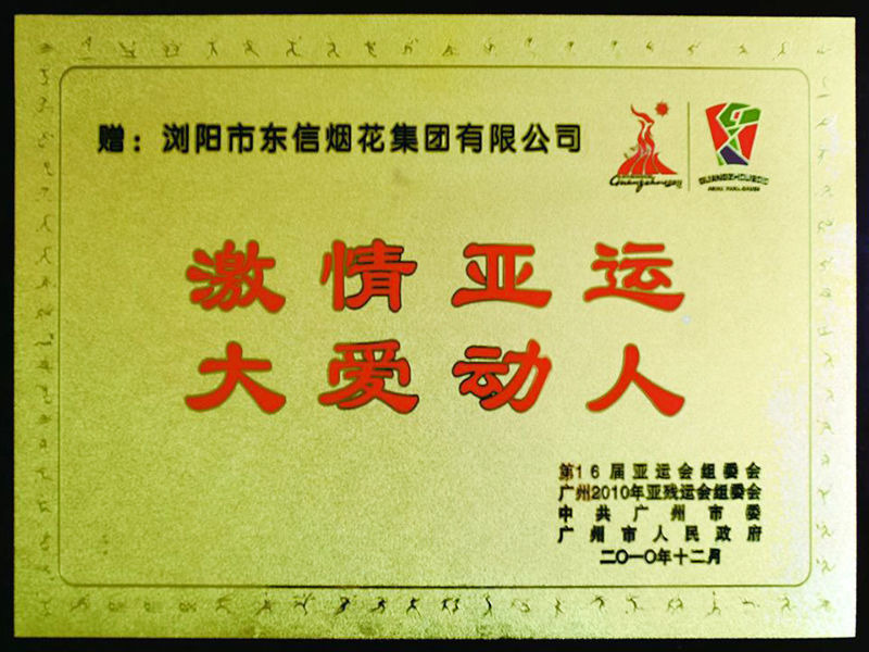 2010广州亚残运会