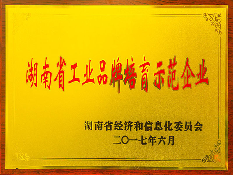 湖南省工业品牌培育示范企业