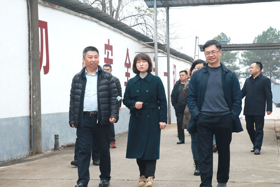 国家质量监督检验检疫总局产品质量监督司副司长孙会川考察东信烟花 国家质量监督检验检疫总局产品质量监督司副司长孙会川考察东信烟花