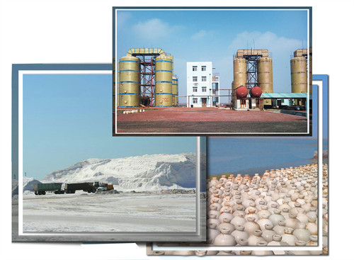 Shandong Wudi Fengyuan Salinization Co., LTD