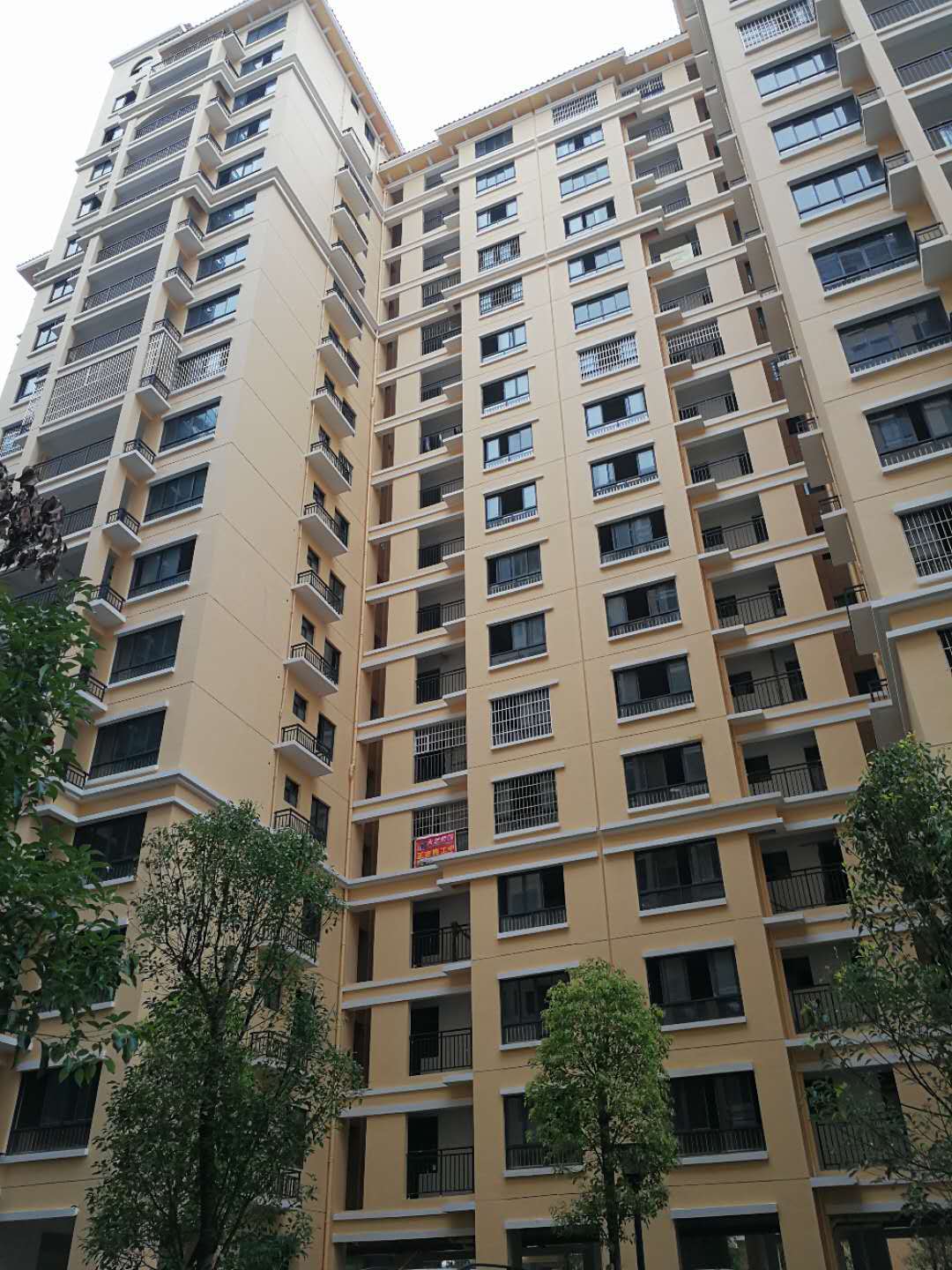 大新冠林華府