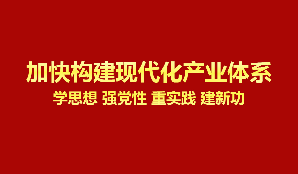 加快构建现代化产业体系（学思想 强党性 重实践 建新功）