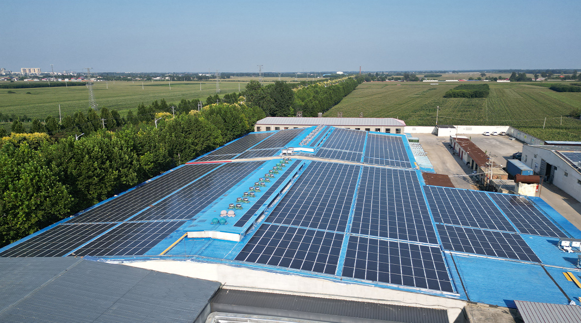 Hebei Wing Lee Group Rooftop Distributed Power Station