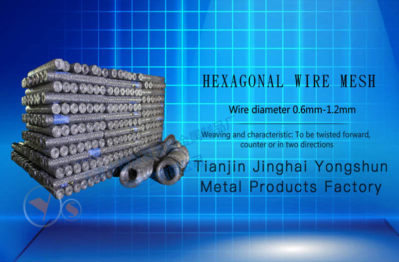 Hexagonal wire mesh