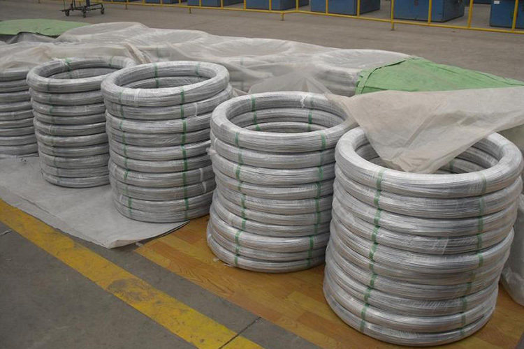 hexagonal wire netting