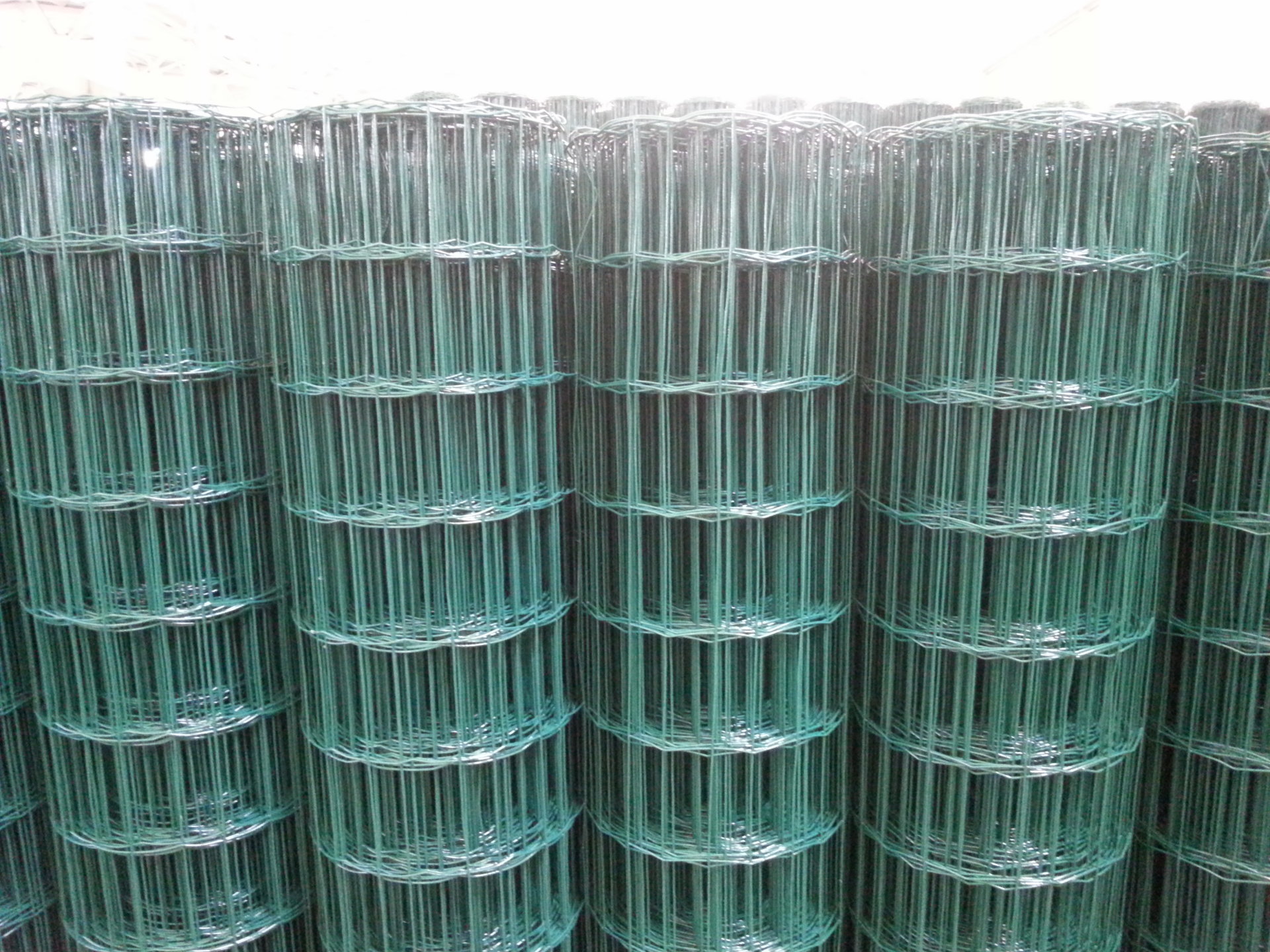 hexagonal wire netting