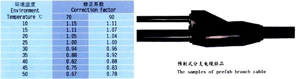 预制式分支电缆
