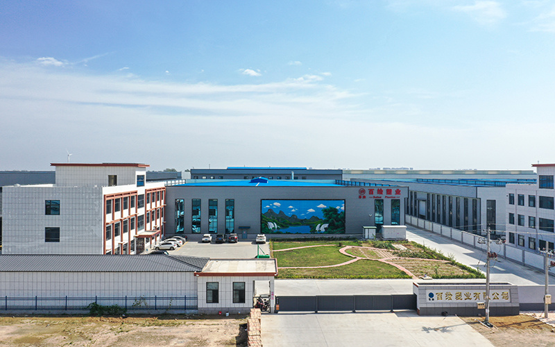 Company Environment
