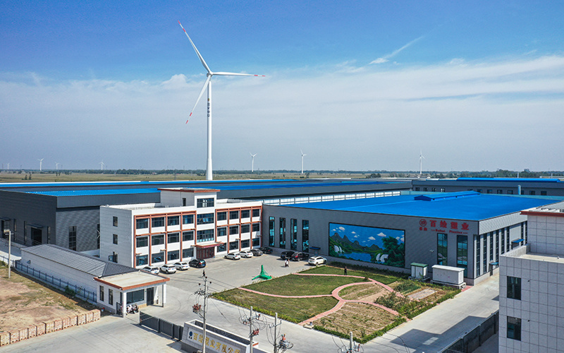Company Environment