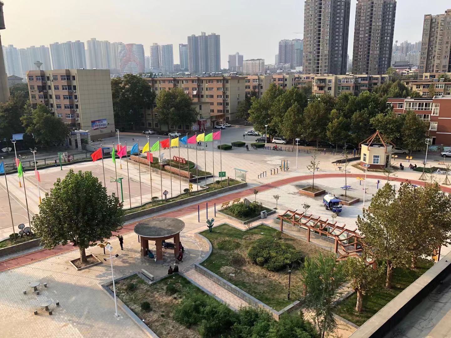 법률 문화 스퀘어의 규칙