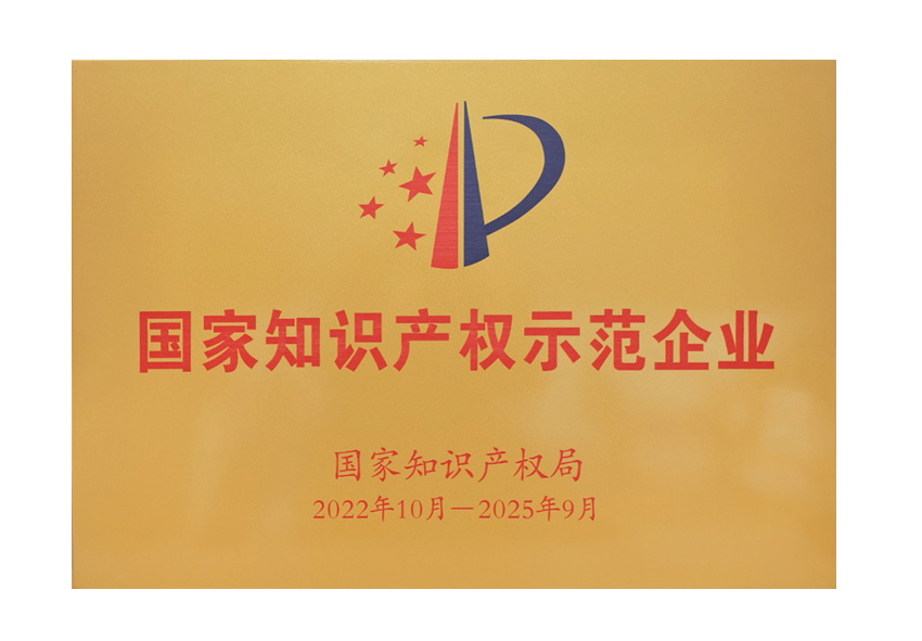 国家知识产权示范企业