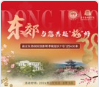 2024中国南京国际梅花节开幕，东郊与您共赴“梅”好~