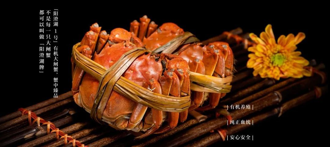 赏味秋冬，蟹意浓浓 | 南京东郊国宾馆阳澄湖牌大闸蟹礼盒限时售卖中~