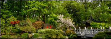 仲春东郊景怡人 踏青游春好时节（超值房券火热预售中，清明假期通用！）