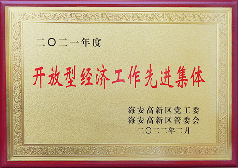 开放型经济工作先进集体