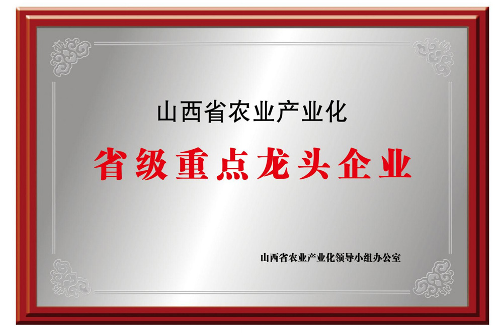 省級(jí)重點(diǎn)龍頭企業(yè)