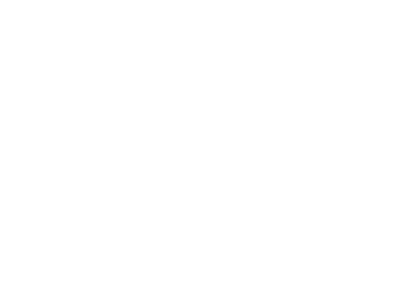 集肉羊屠宰、分割加工、速凍、