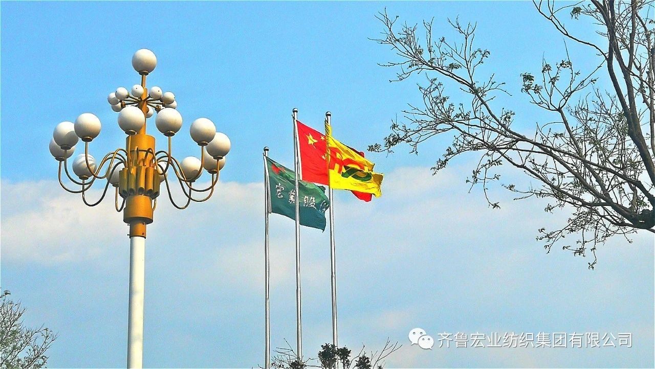 众擎易举创集群 群策群力谋发展