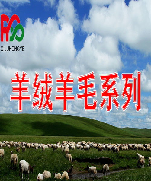 羊绒羊毛系列
