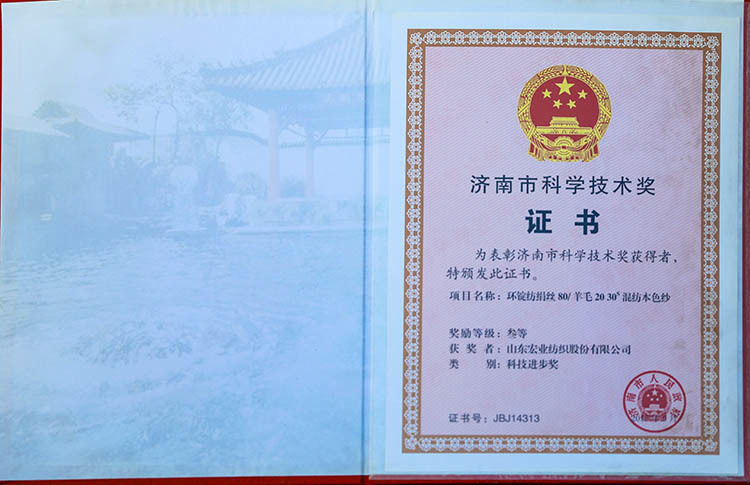 Jinan Science and Technology Award