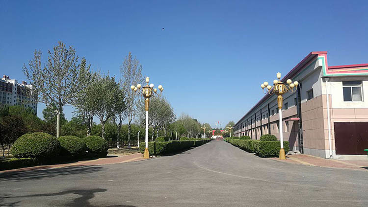 企业风貌