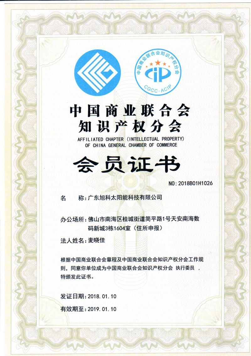 Member of Intellectual Property Branch of China Business Federation Member of Intellectual Property Branch of China Business Federation