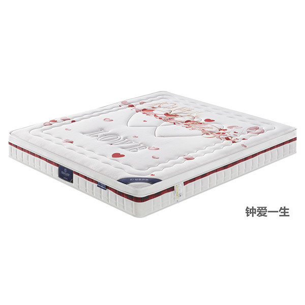 钟爱一生