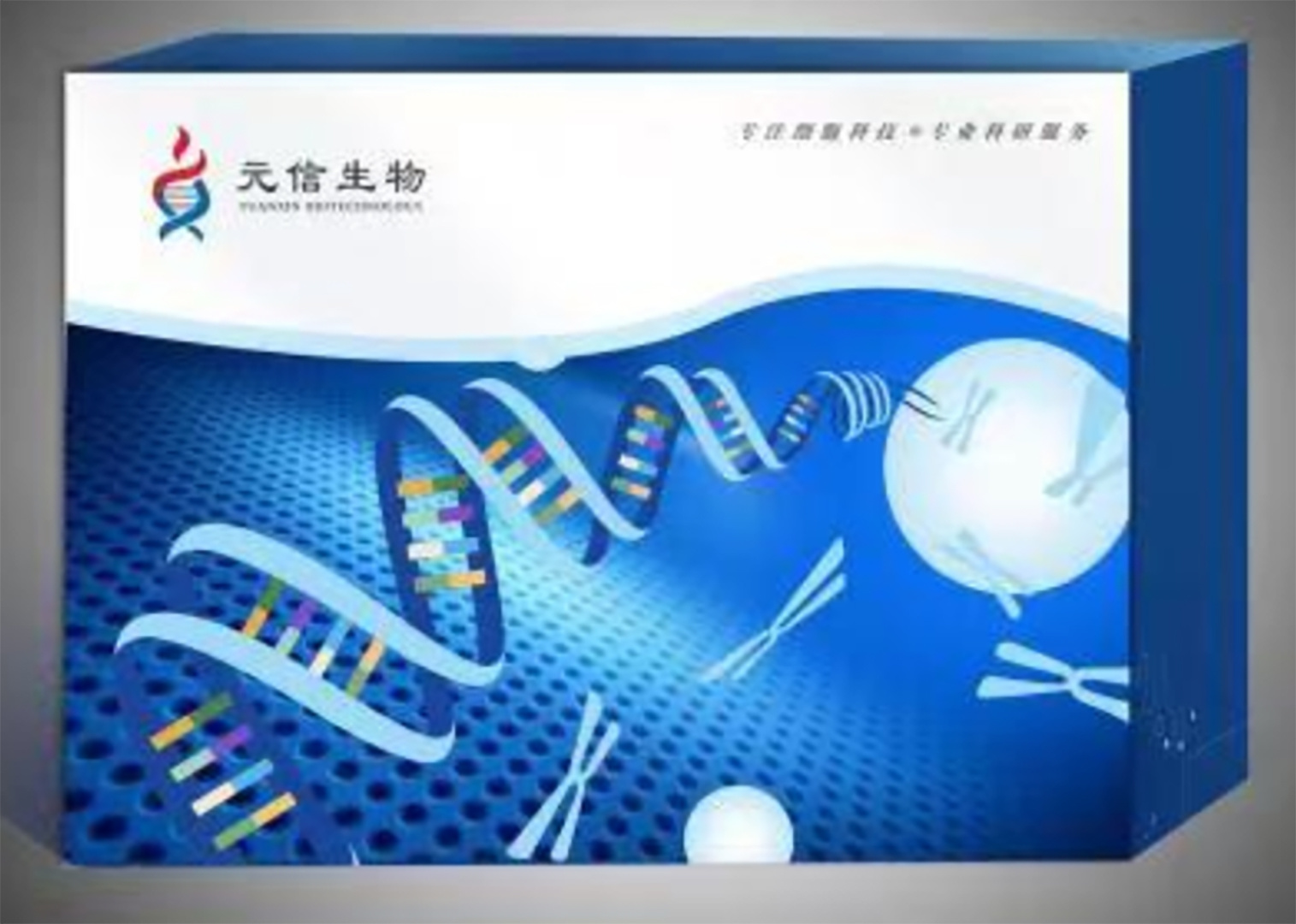 原生质体制备试剂盒