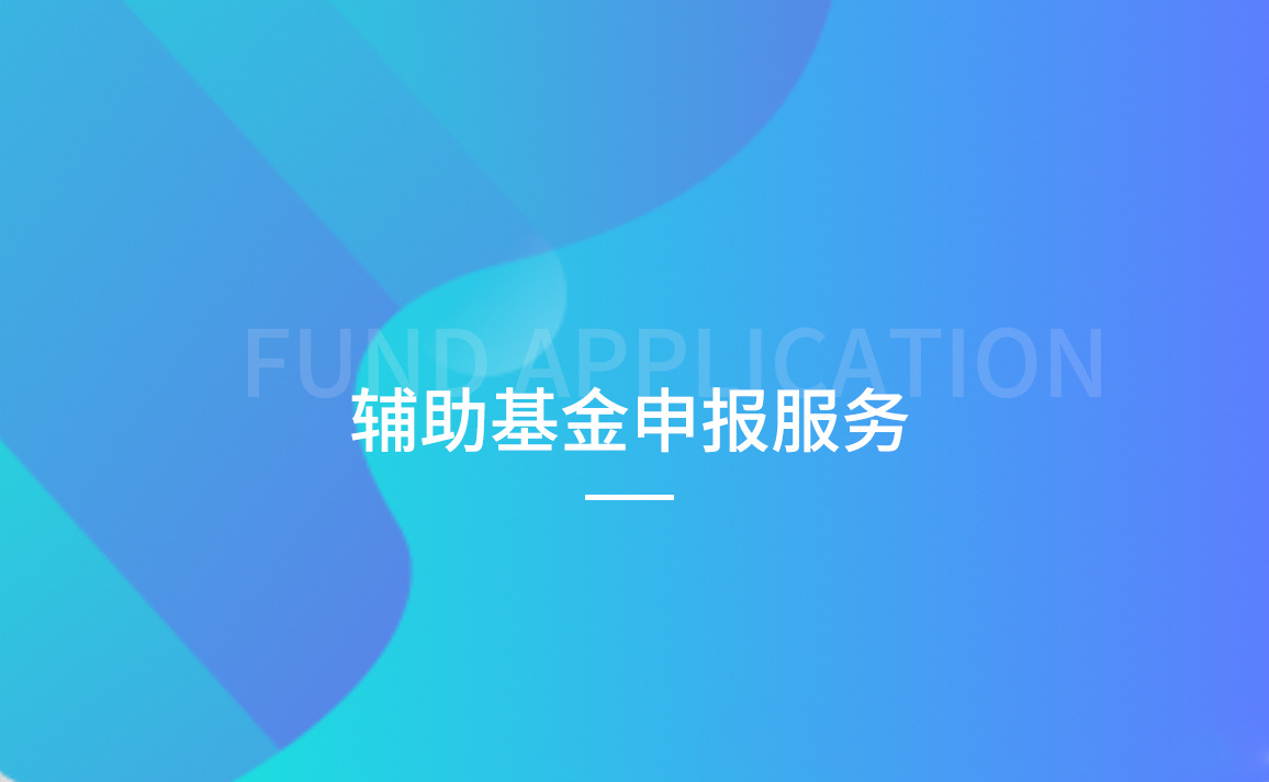 辅助基金申报服务