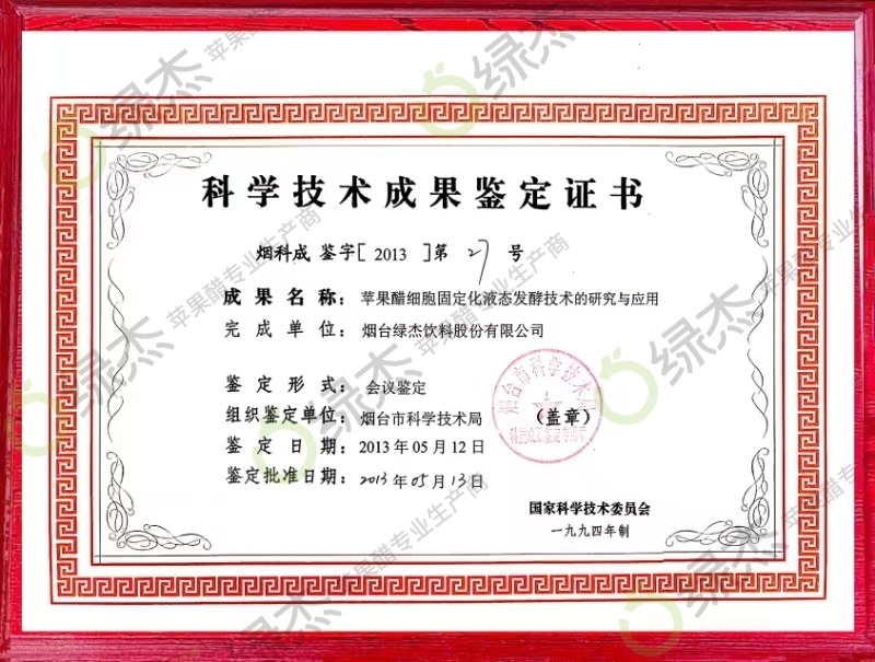 Technological Achievement 3 Technological Achievement 3