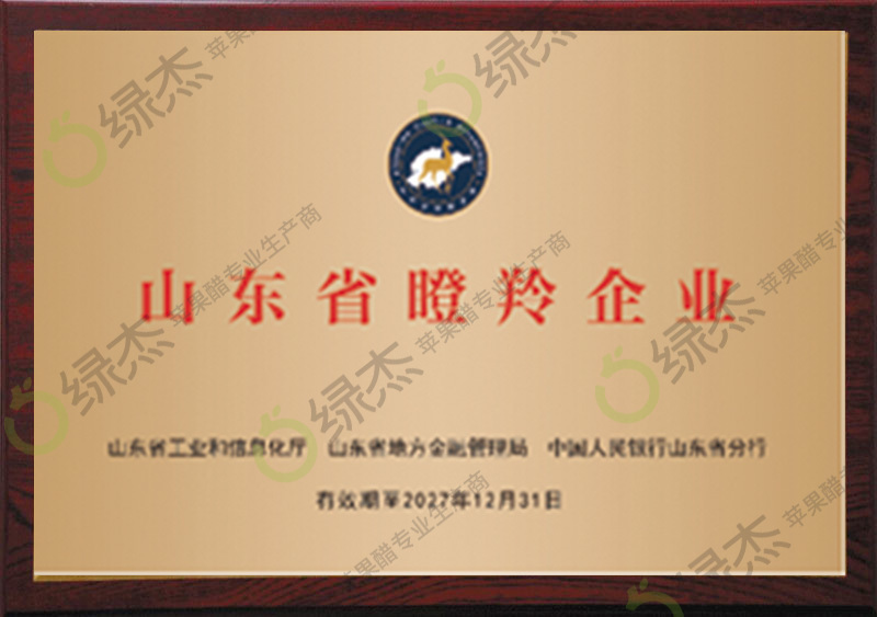Shandong Gazelle Enterprises Shandong Gazelle Enterprises