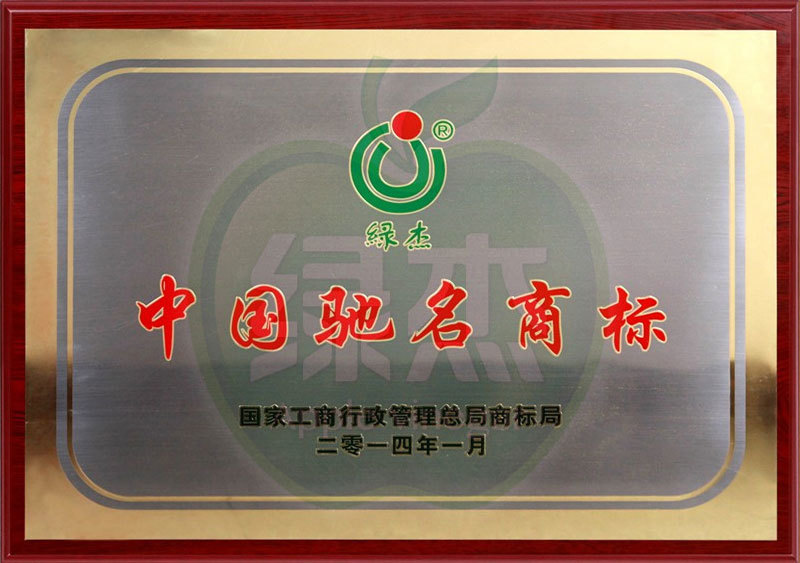 Well-known trademark of China