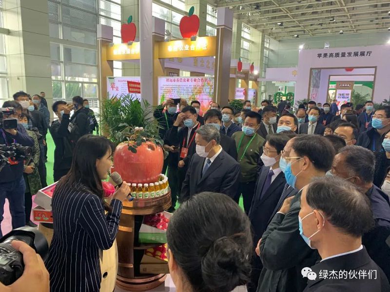 綠杰股份