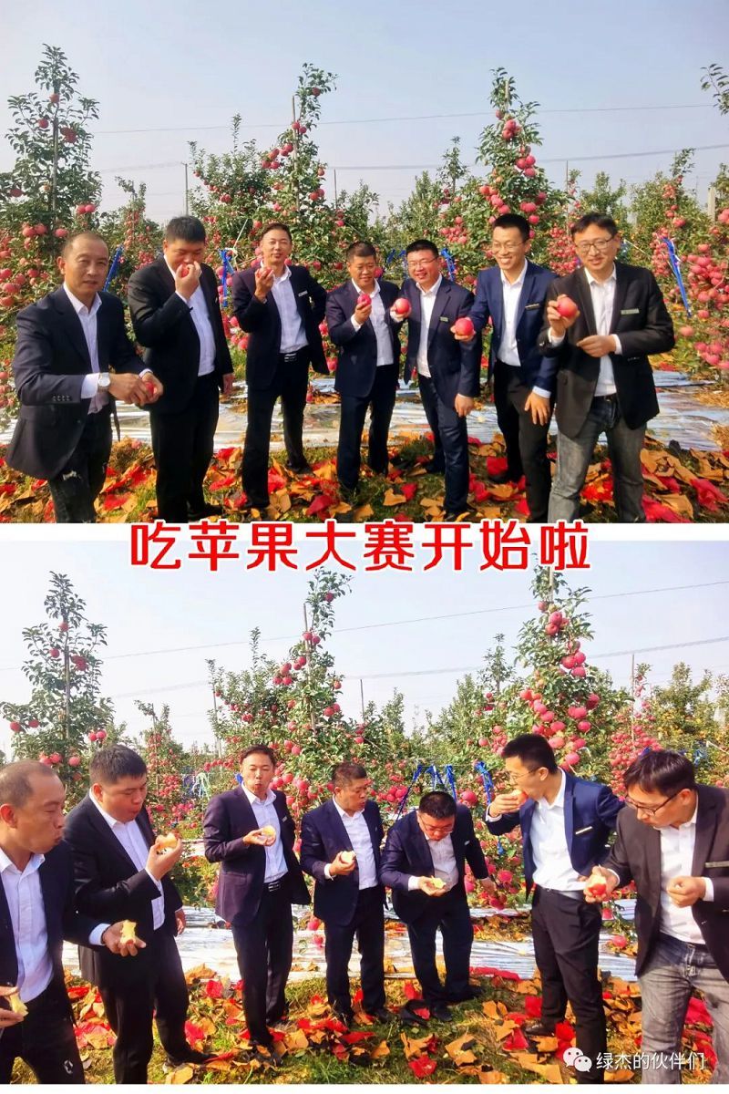 綠杰股份