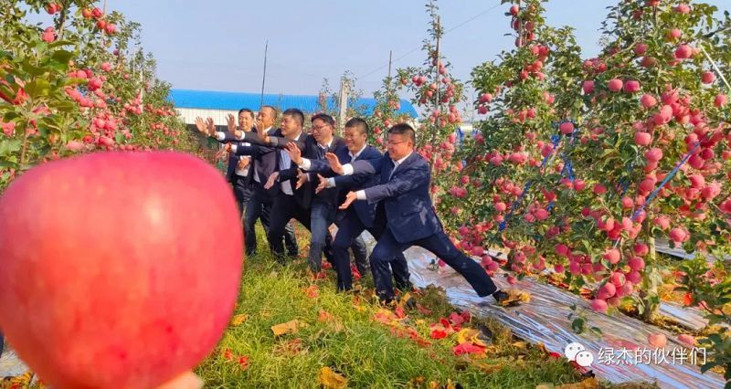 綠杰股份