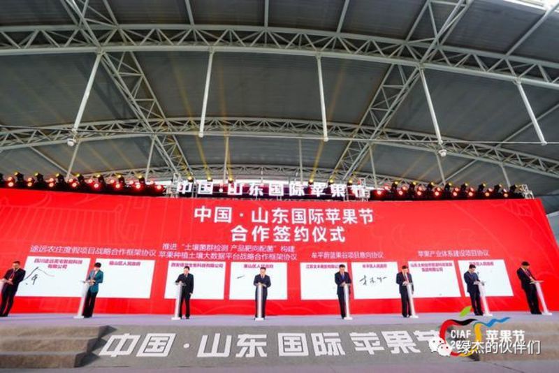 綠杰股份