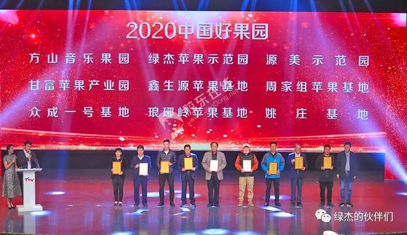 綠杰股份