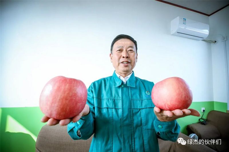 綠杰股份