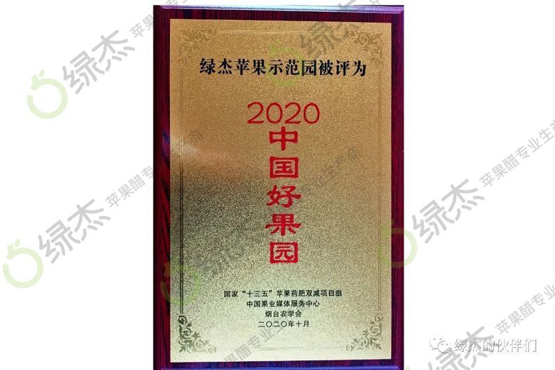 綠杰股份